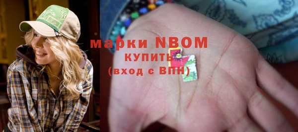 индика Алзамай