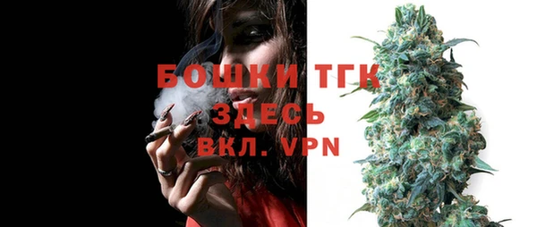 молекула духа Алексеевка