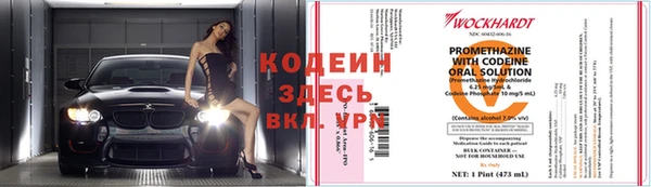 индика Алзамай