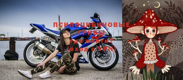 молекула духа Алексеевка