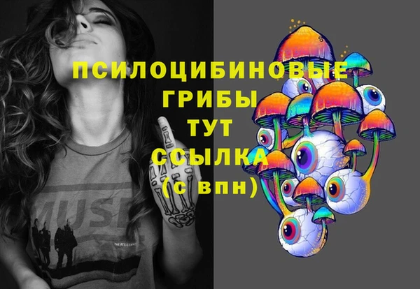 индика Алзамай