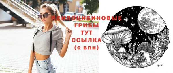 индика Алзамай