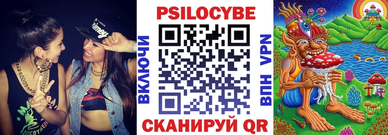 как найти наркотики  Андреаполь  дарк нет официальный сайт  Псилоцибиновые грибы Cubensis 
